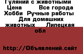 Гуляний с животными › Цена ­ 70 - Все города Хобби. Ручные работы » Для домашних животных   . Липецкая обл.